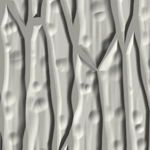 Bark, 3D relief view, shaded